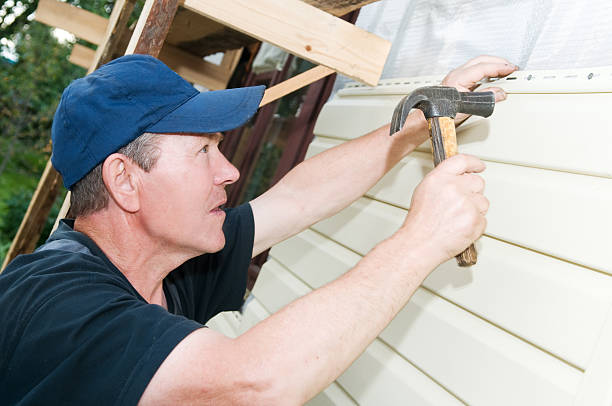 Best Siding Removal and Disposal  in Vicksburg, MI